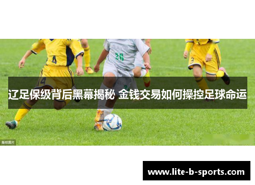 辽足保级背后黑幕揭秘 金钱交易如何操控足球命运