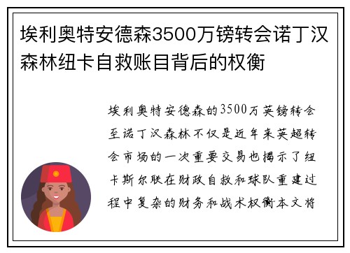 埃利奥特安德森3500万镑转会诺丁汉森林纽卡自救账目背后的权衡