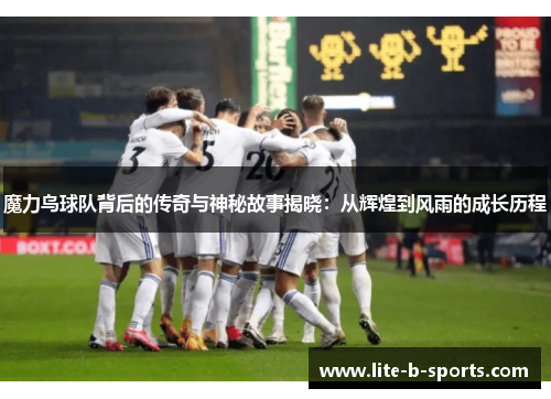 魔力鸟球队背后的传奇与神秘故事揭晓：从辉煌到风雨的成长历程